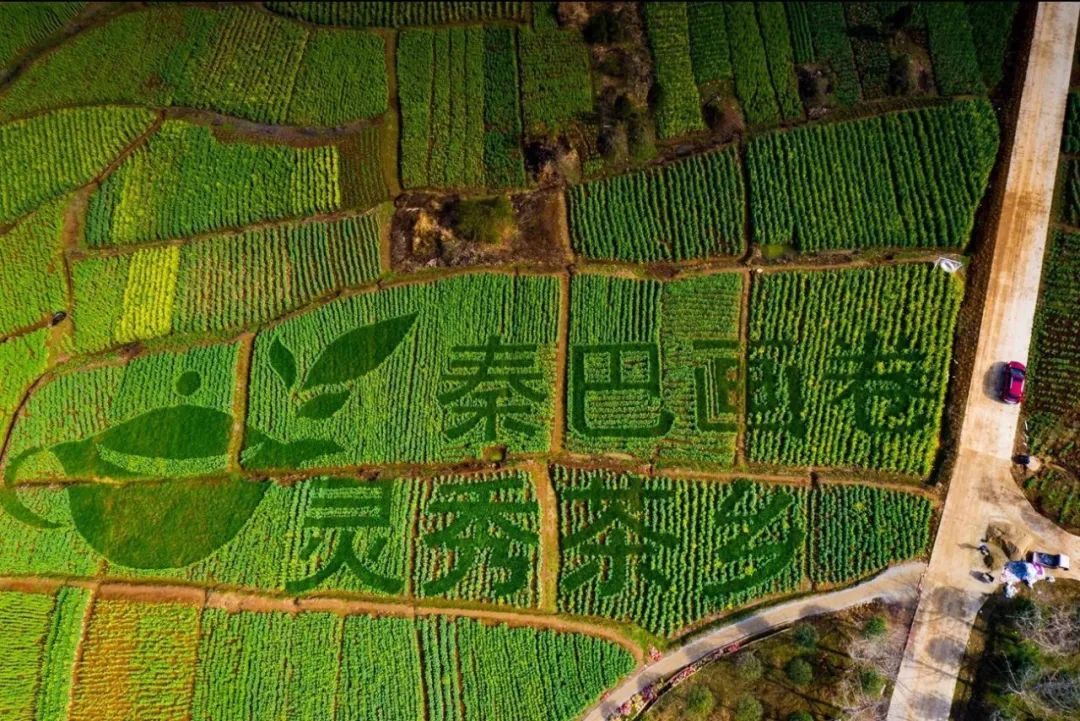 重磅！2022中國(guó)最美油菜花海漢中旅游文化節(jié)最全優(yōu)惠政策來啦！