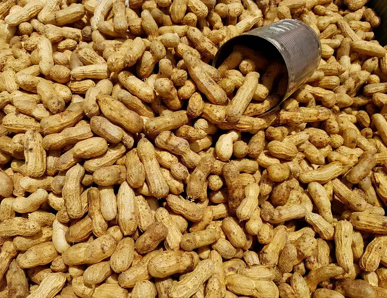 家中的2大“卫生死角”，容易窝藏细菌、病毒，需要你每天清理