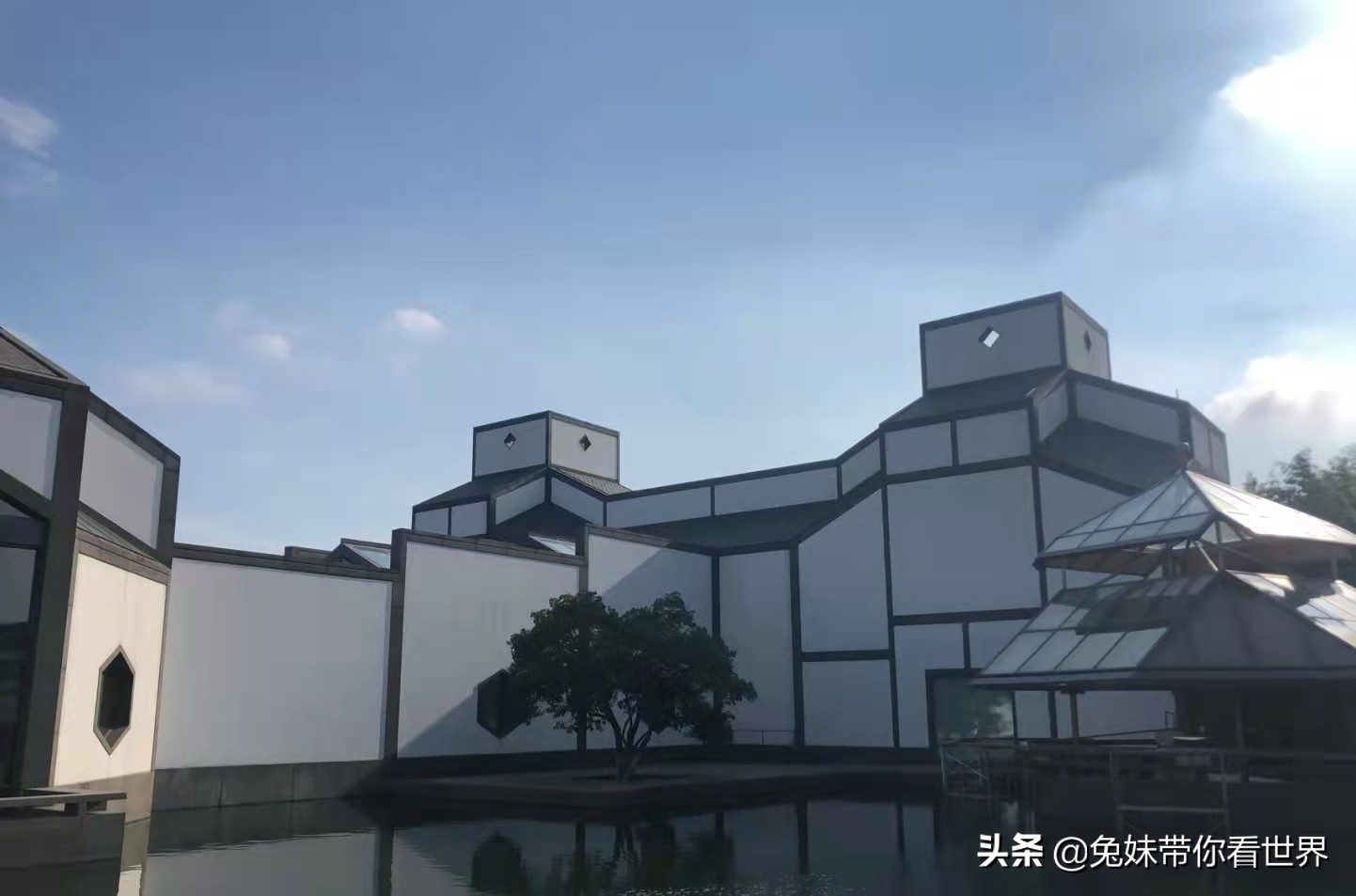 苏州十大必游景点揭秘：古典园林与水乡风情的完美融合