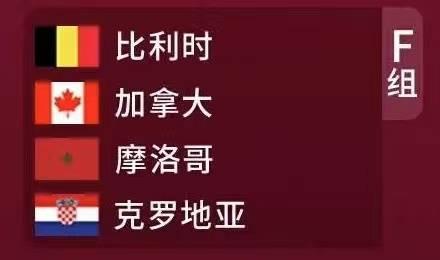 比利时国家队阵容(卡塔尔世界杯前瞻：比利时国家足球队，上届世界杯季军球队)