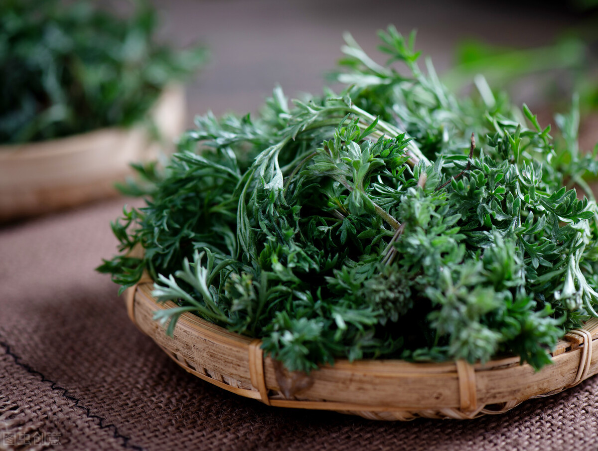 这菜别称"皇帝菜",天越冷越肥美,用来包饺子,鲜美好吃满口香