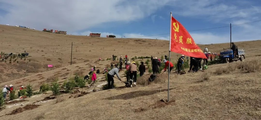 临潭县各乡镇各部门拉开春季义务植树序幕