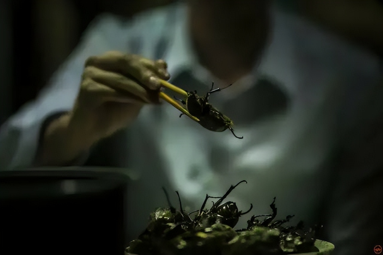 中国电影：《红衣小女孩》概述及幕后