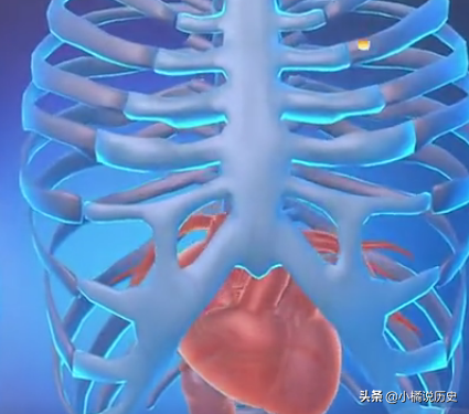 真实故事：北京出生15天婴儿心脏长在肚皮上，随时破裂，母亲崩溃