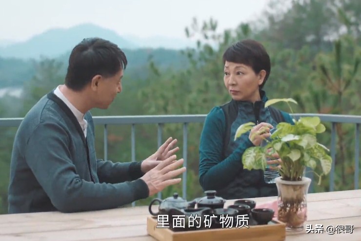 《幸福到万家》中出彩的女配，榴花凭颜值圈粉，马羚差点没认出来