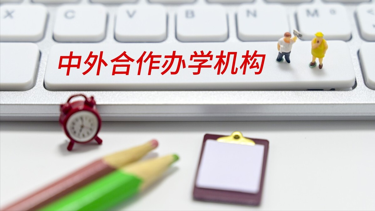 上海大学中外合作（低分上名校的途径）