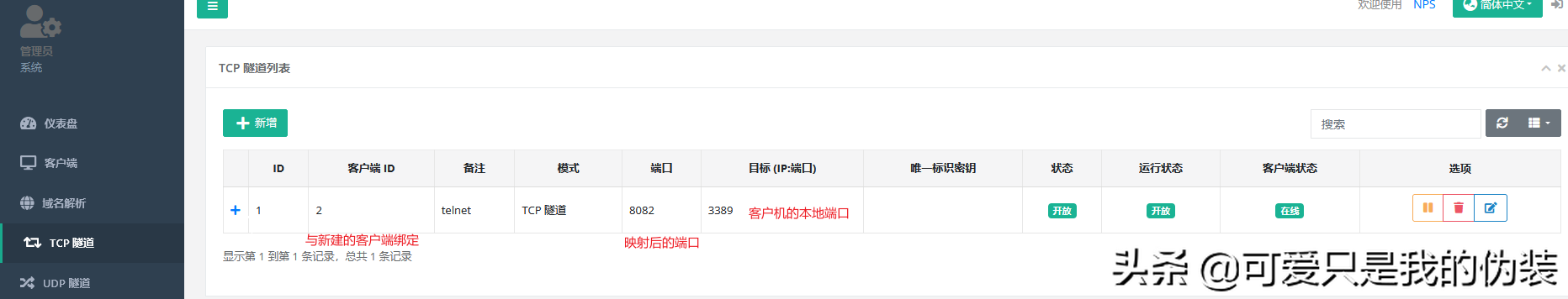 NPS內網穿透