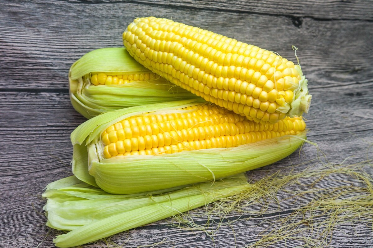 各种颜色的玉米,营养有啥区别?