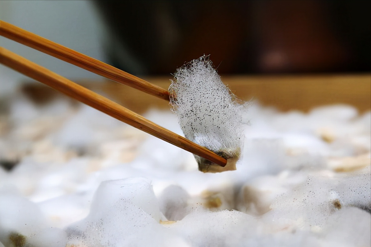 年夜饭，5种“不吉利”的菜上桌，老传统要遵守，避免出现尴尬