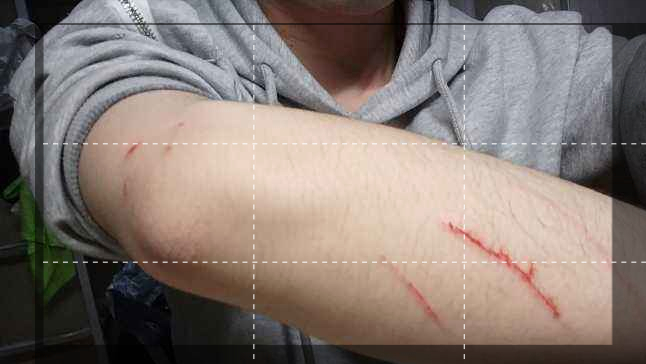 想对大学里养猫的同学说：请不要将爱心带到宿舍，我不喜欢猫