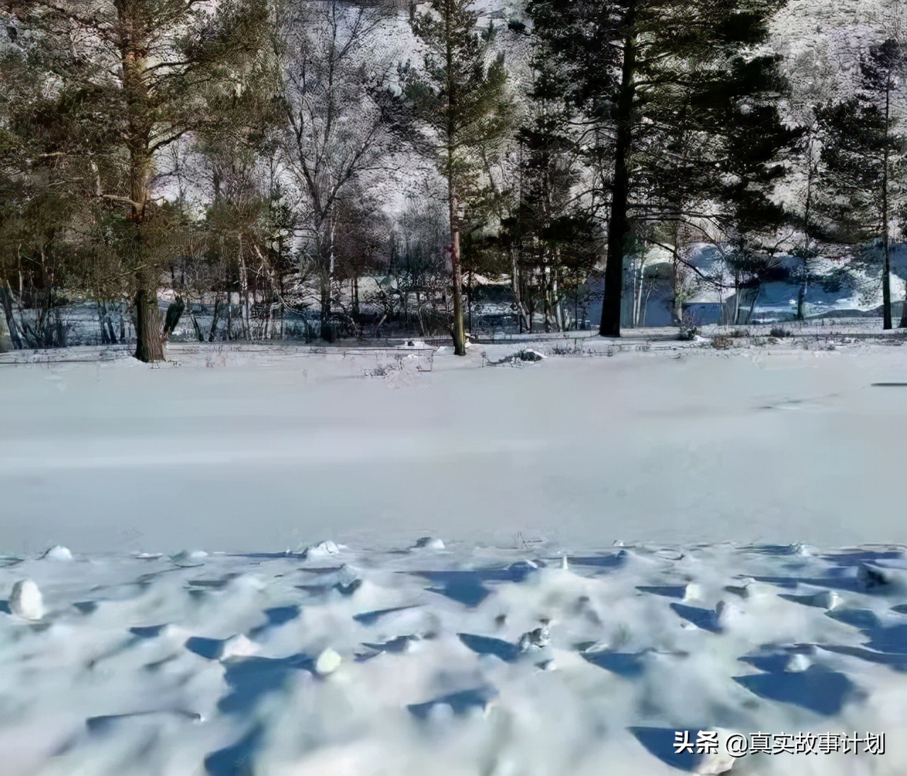 异国淘金自述：7名中国人穿过边境线，去蒙古挖矿，两年淘金梦碎