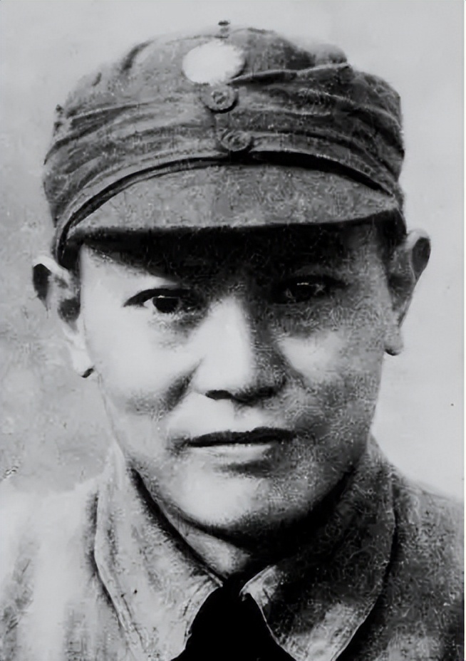 54年李先念向毛主席提出一请求，主席：你真是一见面就给我出难题