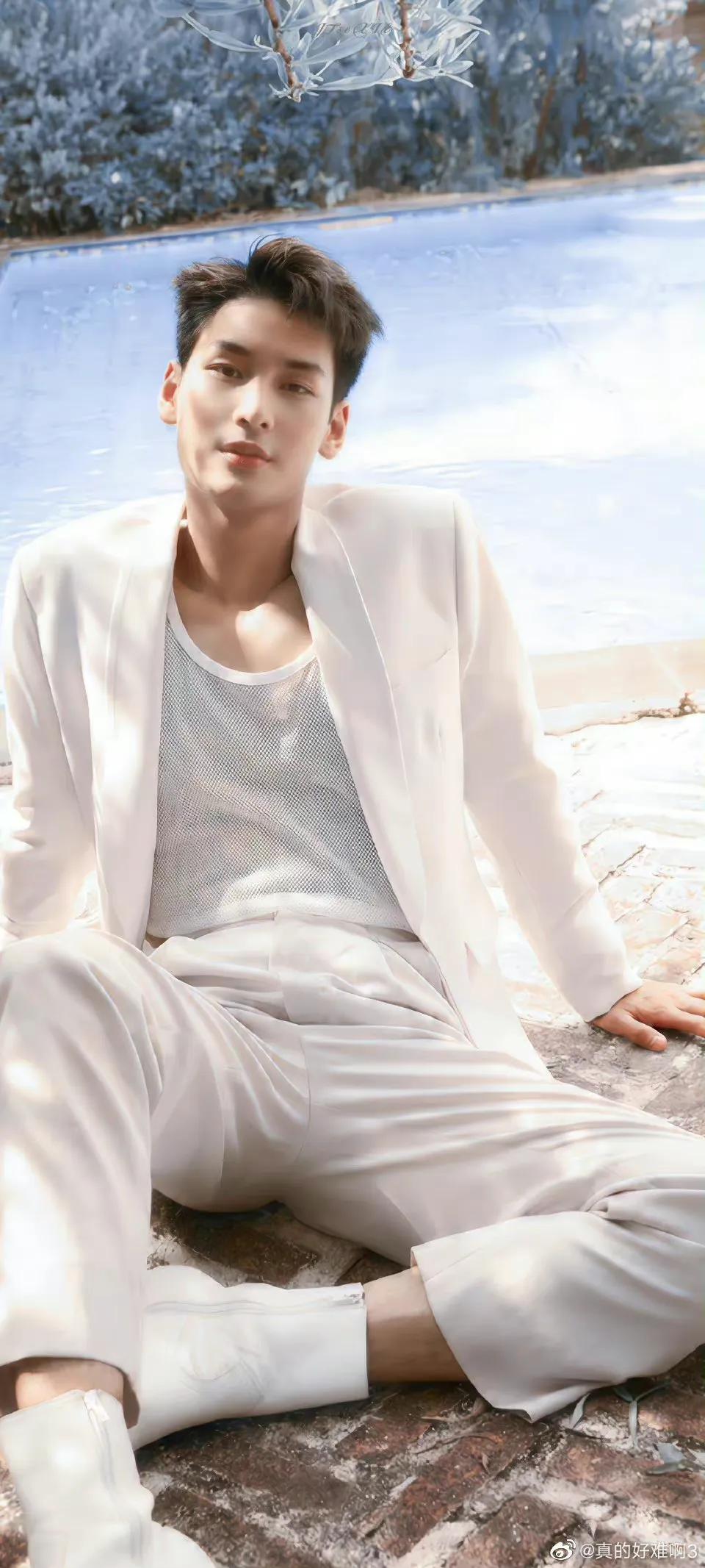 泰兰德肆意生长的野蔷薇-陈立波