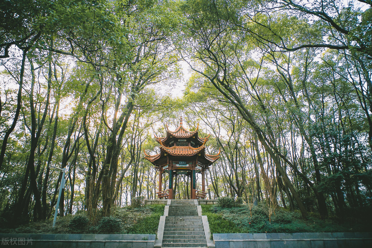 中南大学毕业生就业详解，本科生47%升学，八成博士进高校及医院