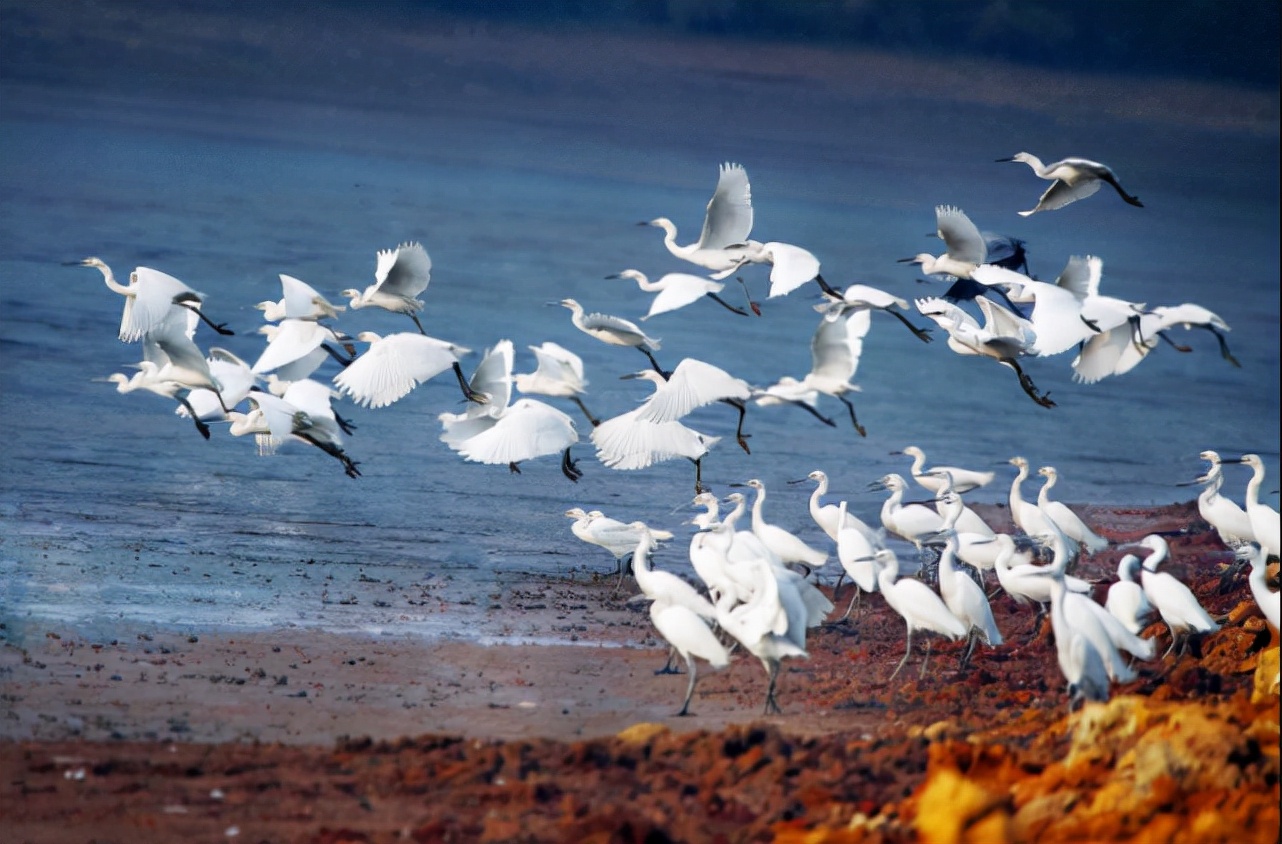 校名“贼大气”的一所大学，听着像是985、211，实则是二流高校