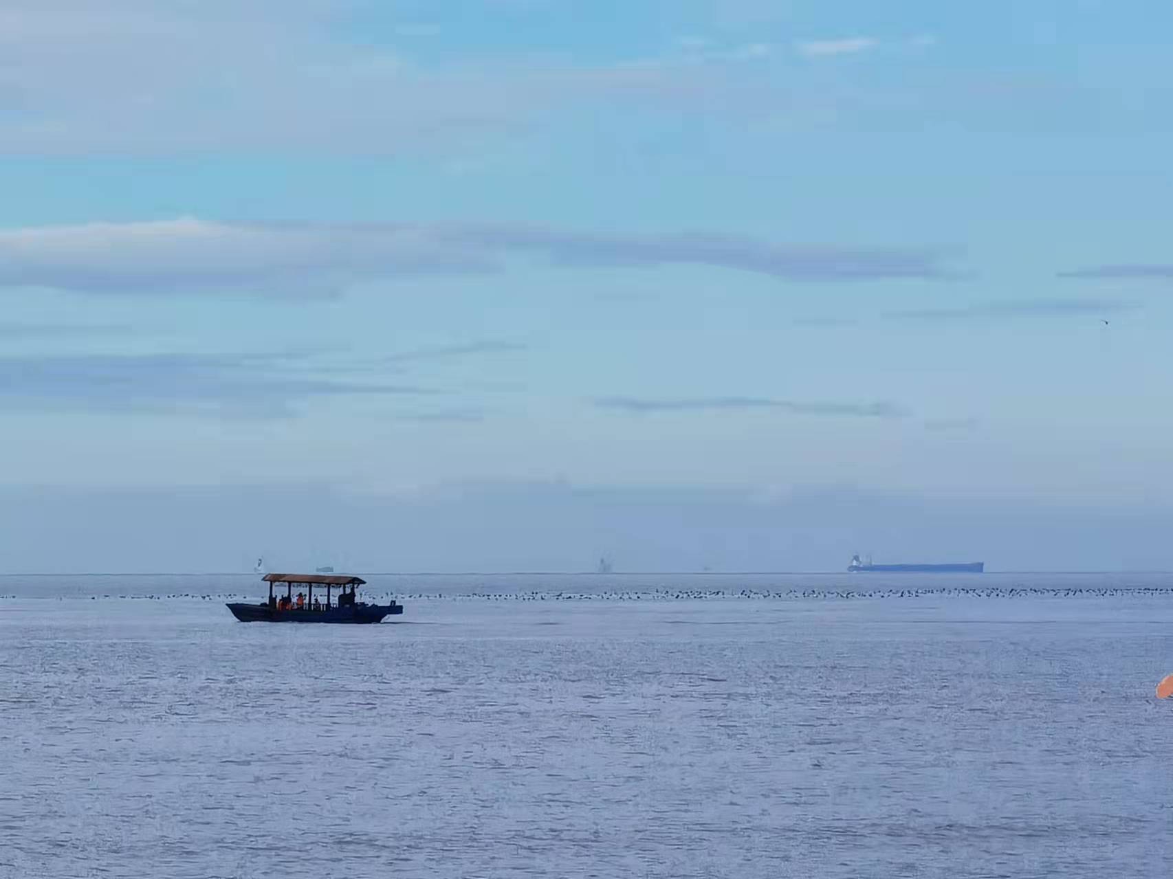 小舟从此逝，江海寄余生