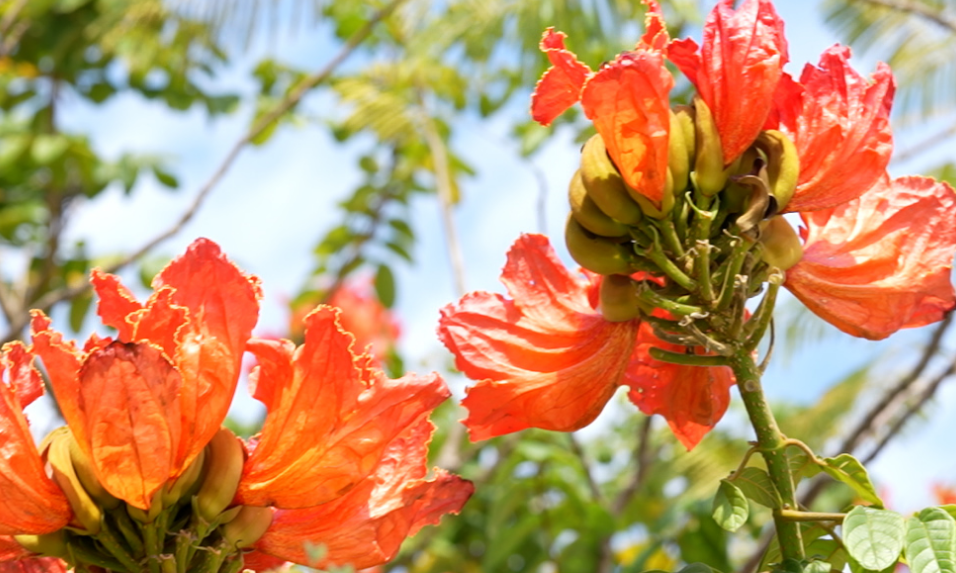 晋升为“双一流”的7所大学，实力怎么样？已经考上的同学有福了