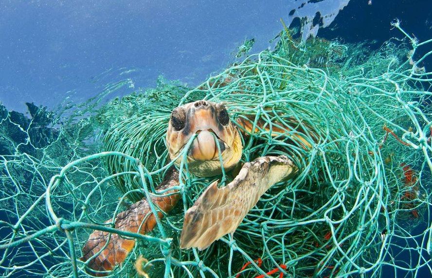 生态头条 | 人类纵的这把火，终于烧到自己身上