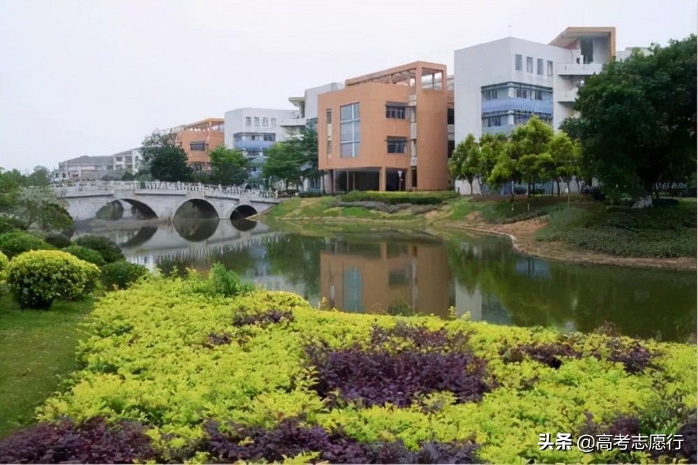 不远千里去求学，这所大学吸引力为什么这么大？归结为4个方面