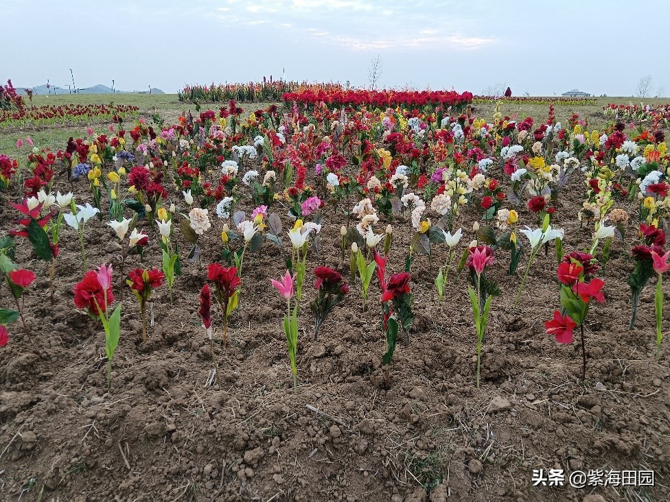 过年想好去哪玩了没，湖北周边春节必去景点