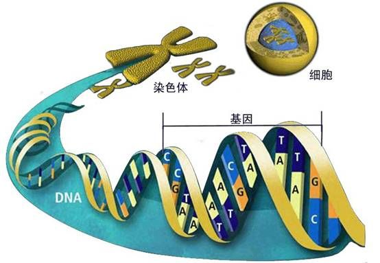 “地包天”是什么原因导致的？哪些是我们可以做到，可以预防的？