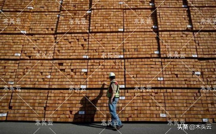 2022年我国进口软木或将上涨