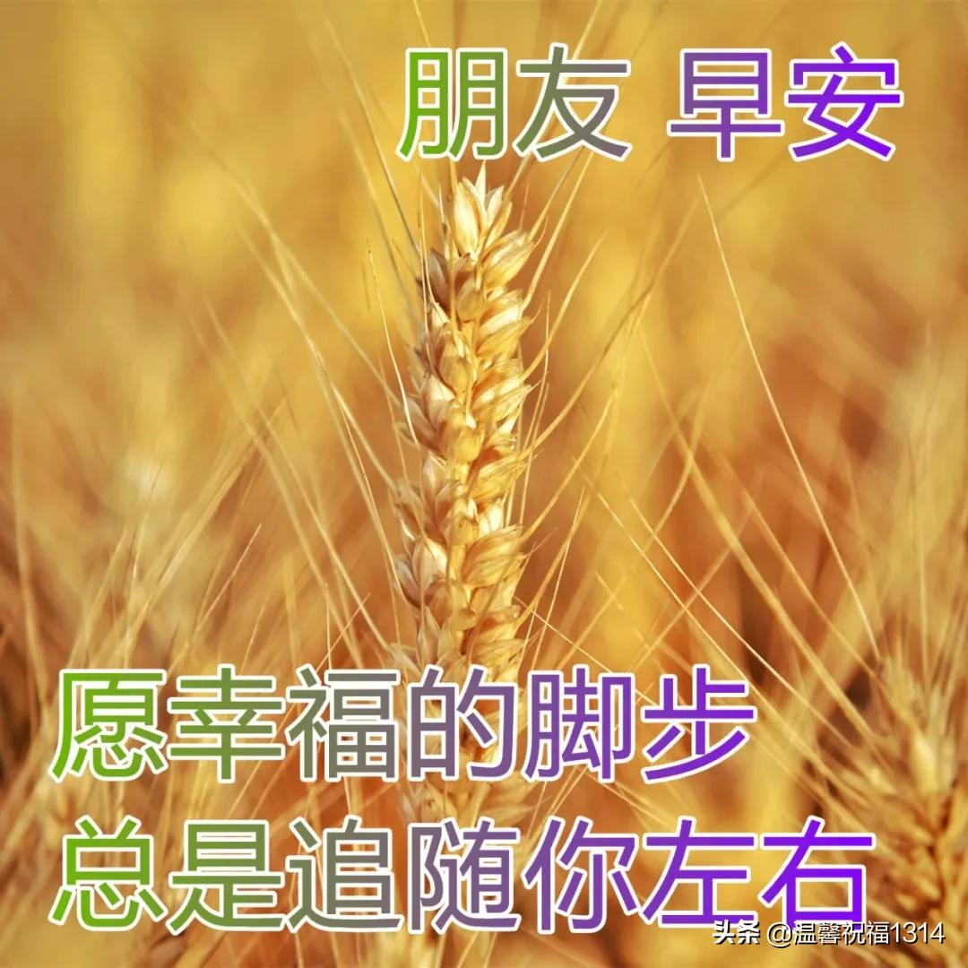 1月30日最美早上好问候图片，腊月廿八早安心语正能量