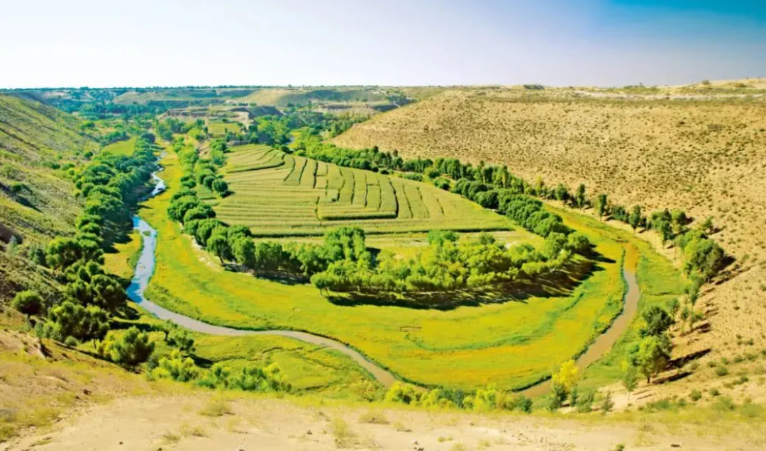 美科学家发现地球正“变绿”，原因在中印，专家却对印度很担忧？