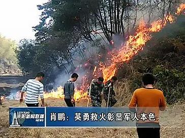 男儿当自强，铁血铸军魂，忠诚担当护山河