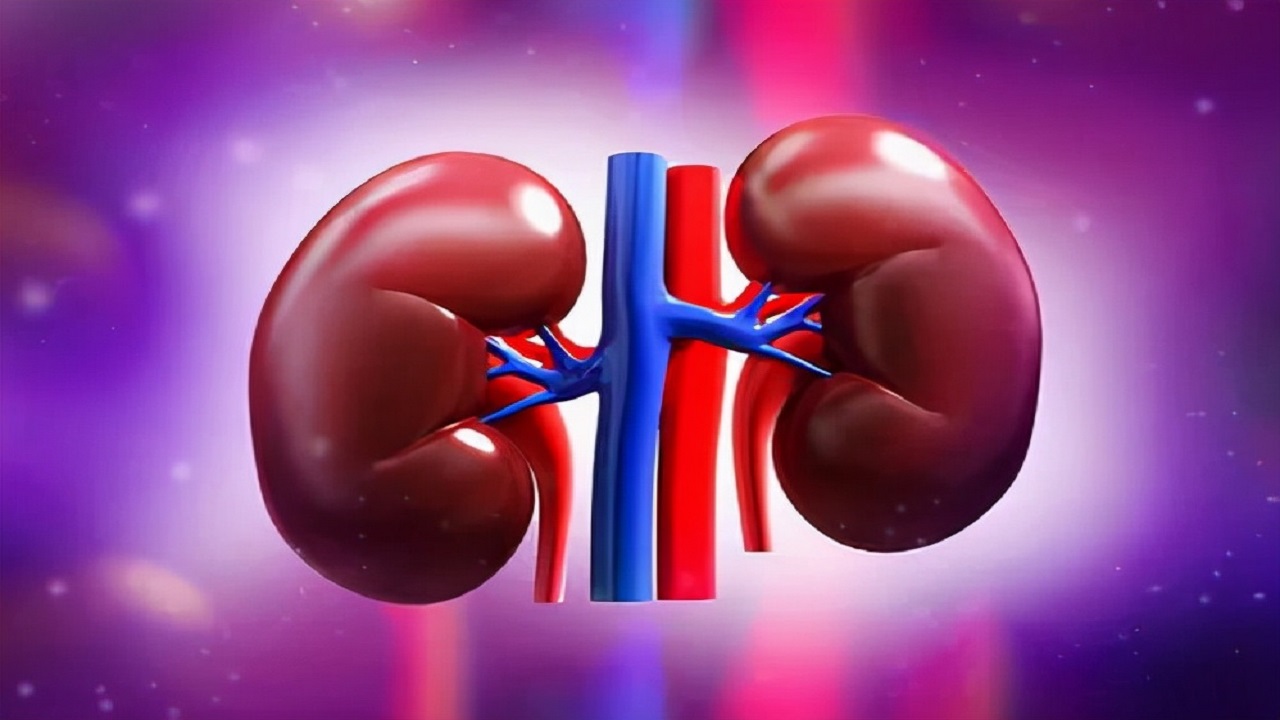 医生说这3种检查是肾内科最该做的检查