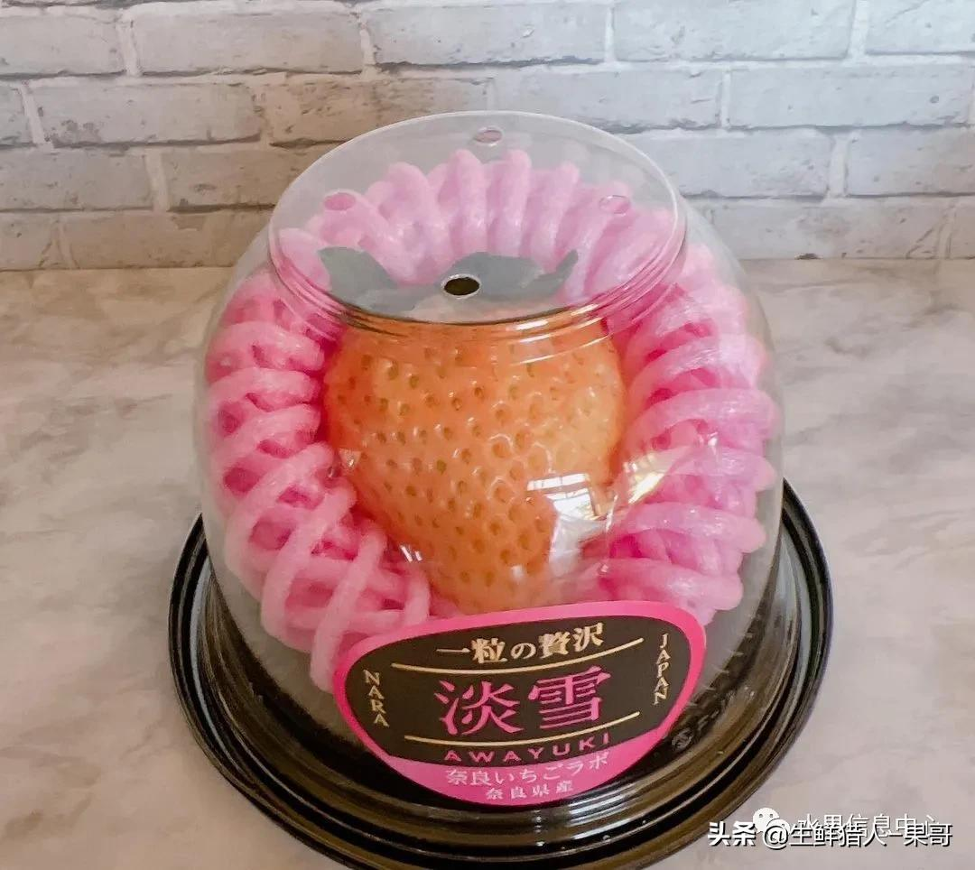 越秀草莓图片（中国草莓主要产地分布及品种介绍）