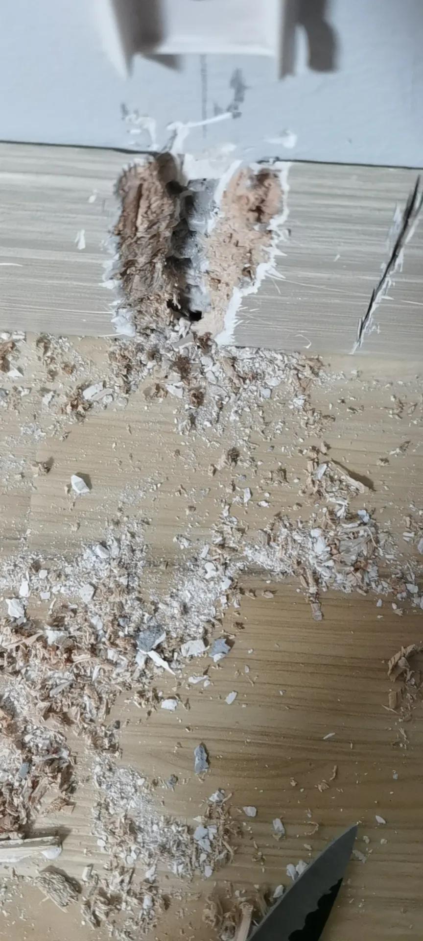 长大后才发现难忘的事不一定是快乐的，很可能充满了无奈