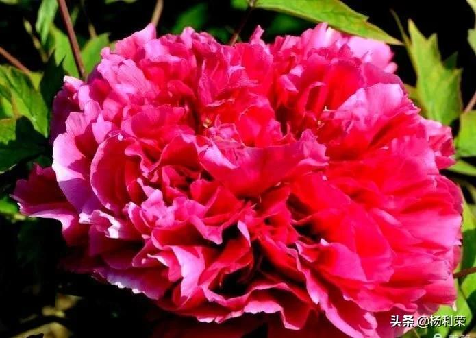 四季轮回·归韵五字谣：春花秋月，夏雨冬雪；岁序更迭，心随景迁。