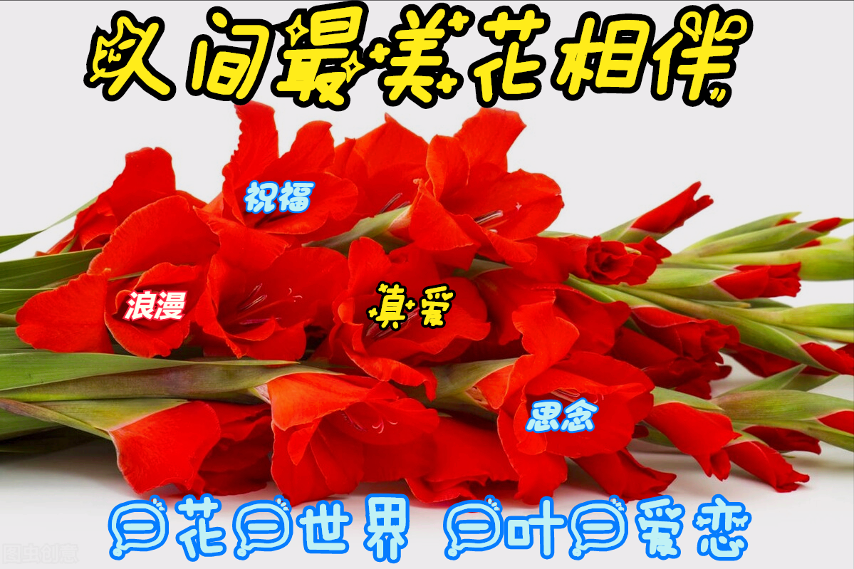 一花一世界，她如幽兰绽放，静默中自有乾坤。