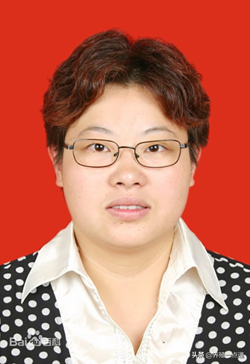 胡彩虹（女），浙江大学教授、博导，畜禽肠道保健、生态饲料专家