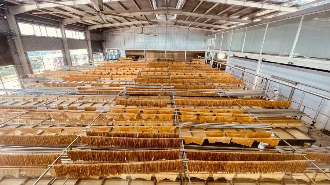 闻着豆腐香长大的她，带“小豆腐”闯出了“大天地”