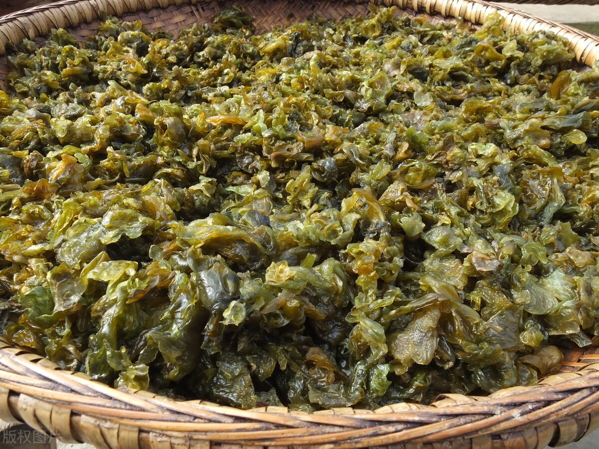 地皮菜,来自大山深处的美味,你吃过吗?