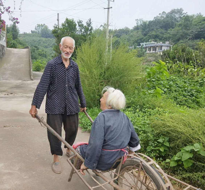 杭州女子丈夫作案过程,杭州女子丈夫作案过程绞肉机