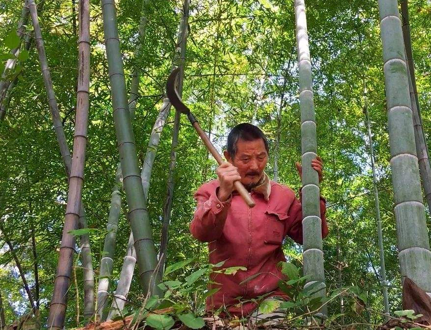 母亲精神病，弟弟脑瘫，安徽25岁女孩每天搂着弟弟睡觉，如今怎样