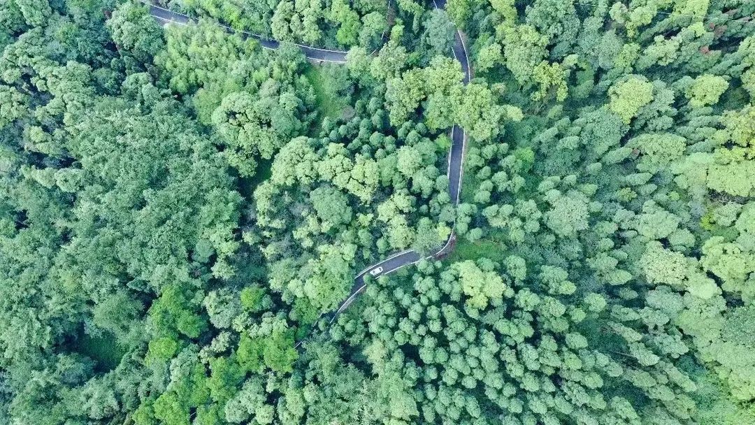 32℃警告！成都周边这10个小众避暑地，周末就去！