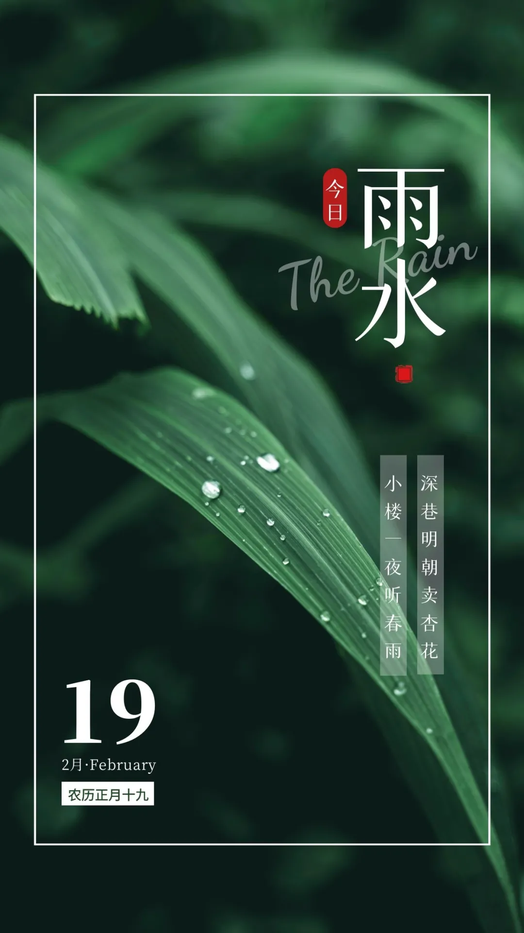 雨水节气图片配图高清唯美大全，雨水文案句子，雨水祝福语问候语