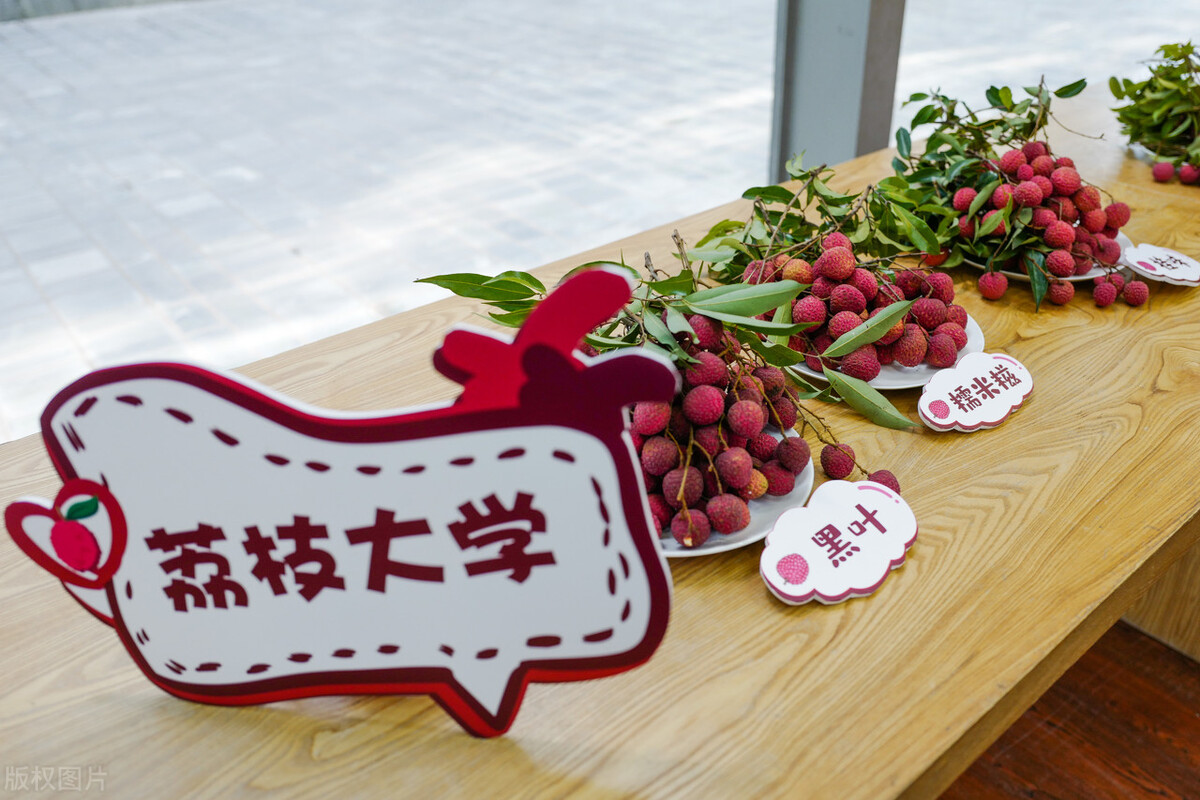 2022“双一流”大学公布：深圳大学、广州大学、广东工大均落榜