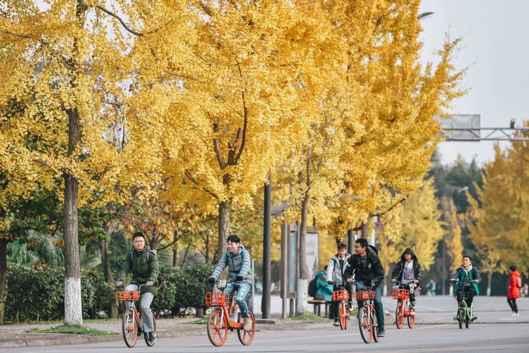 倒计时1天，高考加油！四川大学已准备好，等你赴约！