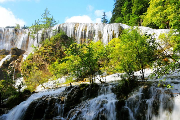 大自然的鬼斧神工(十)九寨沟的雪山,碧水,绿树