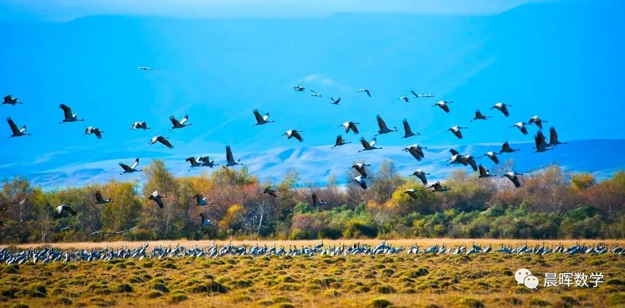 上海高考延期一个月，命题专家谈高考前数学如何复习