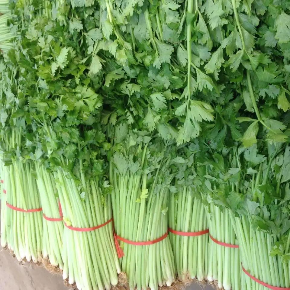 另外,蔬菜还有促消化,提升营养,增加色香味的作用.