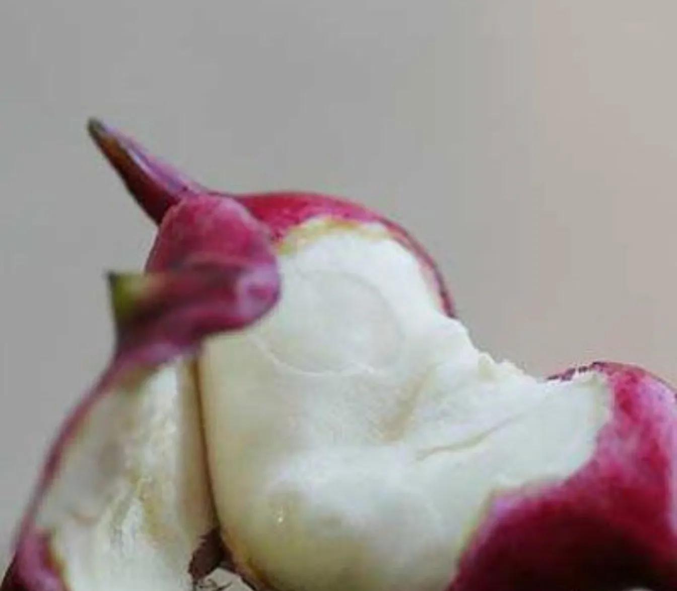 北人食菱蕴含的做人道理