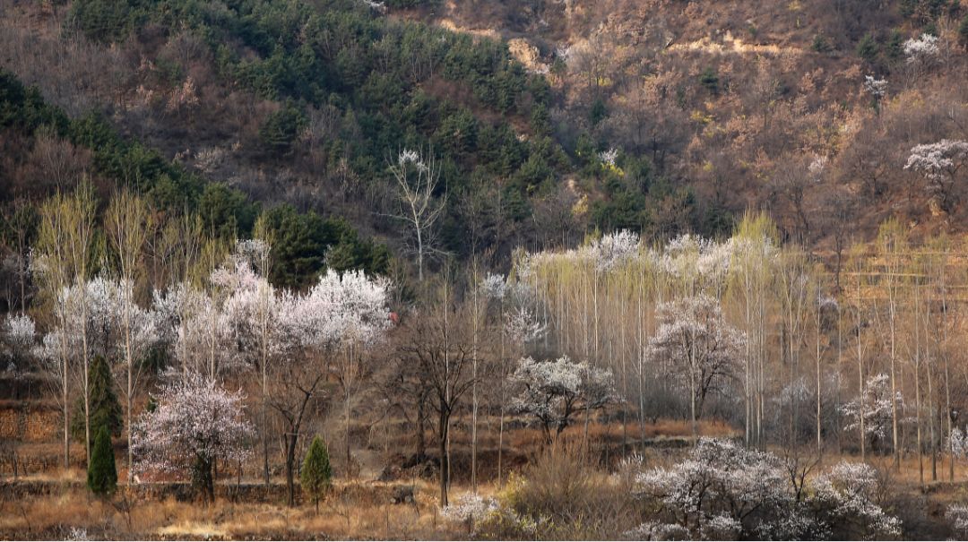 阳春三月春风暖，踏春太行大峡谷游玩正当时