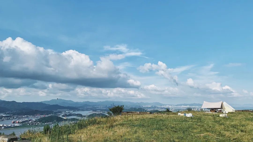 芳菲四月，花“漾”舟山，这份全岛赏花攻略 踏春路线请收好~