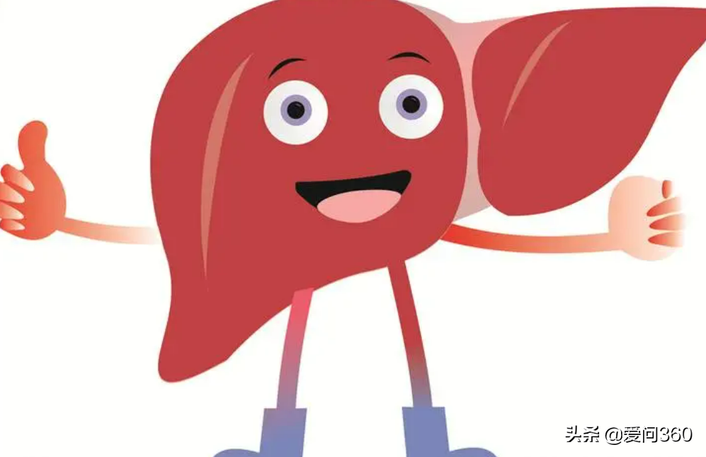 养肝的最佳时节到了，一定要注意这些事情，对身体好处很多